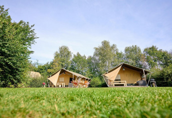 Twee safaritenten op gras, Villatent Nomad bij Camping de Papillon, omringd door bomen in Nederland.