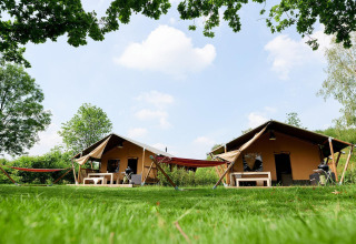 Two Villatent Nomad safari tents at Parc de Witte Vennen in the Netherlands, featuring hammocks on grass.