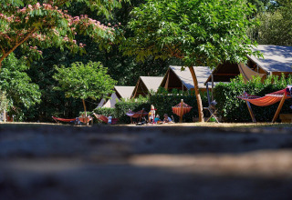 Tiendas tipo safari y hamacas en Villatent Nomad, Camping Domaine du Logis, Francia, entre árboles.