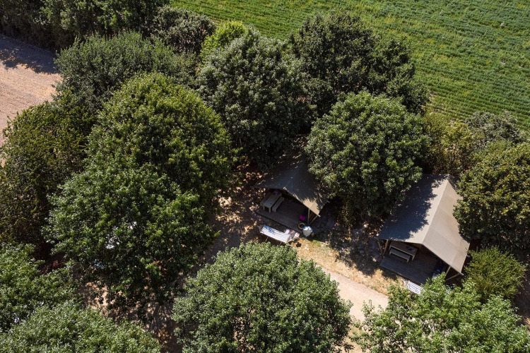 Luftaufnahme des Safari-Zelts Villatent Nomad zwischen Bäumen auf dem Campingplatz La Bretonnière in Frankreich.