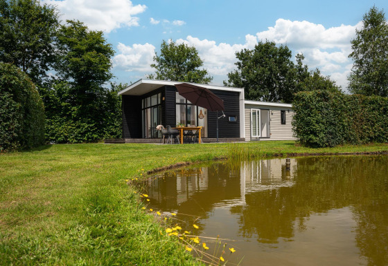 Glamping-accommodatie bij een vijver met een moderne hut, buitentafel en omringd door veel groen.