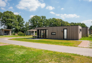 Moderni lodge in legno Oak lodge presso Vakantiepark Hölte, Paesi Bassi, immersi nel verde e alberi.