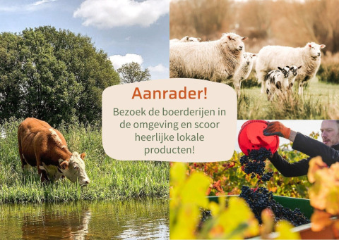 Collage montrant des vaches, des moutons, une récolte de raisins et un message pour visiter les fermes locales.