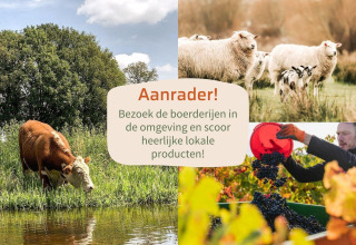 Collage met koeien, schapen, druivenoogst en tekst die oproept lokale boerderijen te bezoeken.