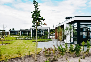 Cabañas modernas en Villa Nautica con grandes ventanales, césped verde y árboles jóvenes en el jardín.