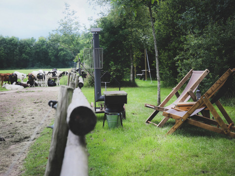 Sillas y barbacoa en Feather Down De Lange Weide, vacas pastando en el verde paisaje de Drenthe.