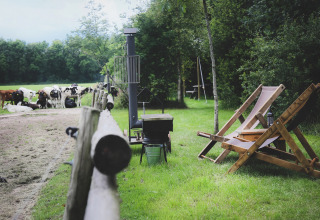 Zitstoelen en barbecue bij Feather Down De Lange Weide met grazende koeien in het groene Drentse landschap.