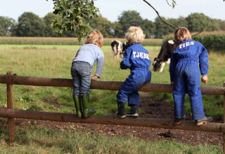 Drie kinderen klimmen over een houten afsluiting bij koeien op een veld in Feather Down De Lange Weide, Drenthe.