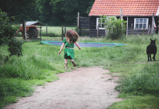 Kind loopt op een boerenpad bij Feather Down De Lange Weide, omringd door gras en boerderijdieren.