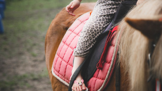 Un niño con traje de leopardo monta un pony con una almohadilla rosa en Feather Down De Lange Weide, Drenthe.