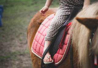 Et barn iført leoparddragt rider på en pony med lyserødt sadeltæppe i ferieparken Feather Down De Lange Weide.