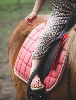 Un niño con traje de leopardo monta un pony con una almohadilla rosa en Feather Down De Lange Weide, Drenthe.