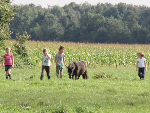 Kinderen wandelen met een kleine pony op een grasveld in Feather Down De Lange Weide vakantiepark in Drenthe, Nederland.