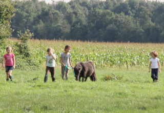 Børn går med en lille pony på en grøn mark ved Feather Down De Lange Weide feriepark i Drenthe, Holland.