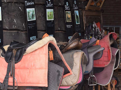 Paardenzadels en dekjes hangen aan een muur met naamlabels bij Feather Down De Lange Weide, Nederland.