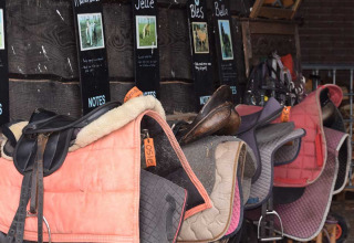 Horse saddles and pads hanging on a stable wall with name tags at Feather Down De Lange Weide, Netherlands.