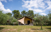 Tienda safari Villatent Nomad en Camping Pian Di Boccio, Italia, rodeada de olivos y naturaleza.