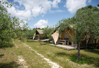 Tiendas de safari y hamacas bajo olivos en Camping Pian Di Boccio, Villatent Nomad, Italia.
