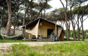 Safari teltet Villatent Nomad på Camping Roma Capitol i Italien, omgivet af fyrretræer og hængekøje.
