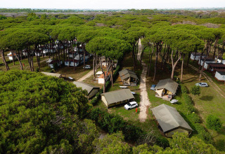 Vista aérea de las tiendas safari Villatent Nomad entre pinos en Camping Roma Capitol en Italia.
