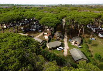 Vista aérea de las tiendas safari Villatent Nomad entre pinos en Camping Roma Capitol en Italia.