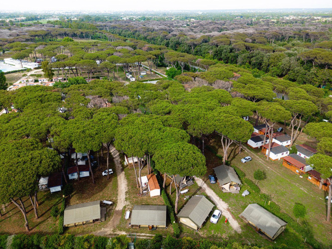 Vista aérea de las tiendas safari Villatent Nomad en Camping Roma Capitol, Italia, entre frondosos árboles.