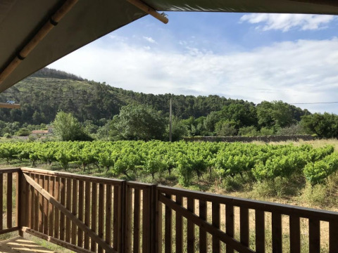 Vista desde la terraza de una tienda safari en Camping De l'Olivigne, Francia, con viñedos y colinas al fondo.
