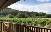 Vista desde la terraza de una tienda safari en Camping De l'Olivigne, Francia, con viñedos y colinas al fondo.