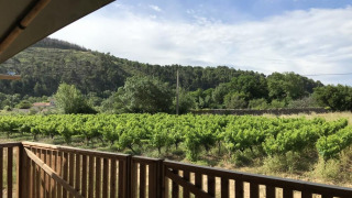 Udsigt fra en safaritelts terrasse på Camping De l'Olivigne i Frankrig, med vinmarker og bakker i baggrunden.