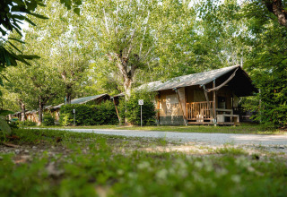 Tiendas safari llamadas Villatent Nomad en Camping La Chiocciola, Italia, rodeadas de verdes árboles y naturaleza.