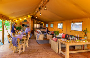 Interior of a spacious safari tent with wooden furniture, lounge area, and people dining and relaxing.