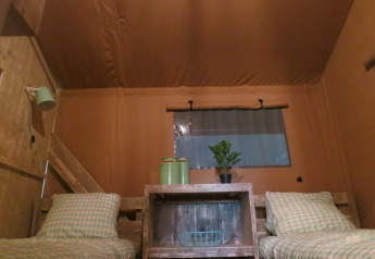 Interno tenda safari con due letti singoli, scaffale in legno e dettagli verdi a Holiday park Eigen Wijze.