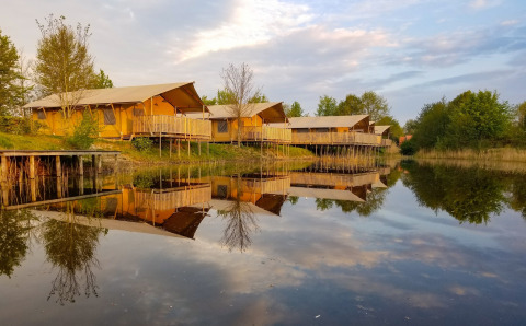 Tentes safari et glamping de luxe au bord d’un lac à Holiday park Eigen Wijze, Pays-Bas, entourées de nature.
