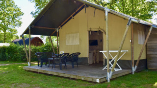 Komfortabel safaritelte-lodge med terrasse og stole på Camping 't Veld i Holland, omgivet af grøn natur.
