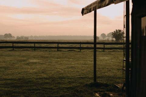 Landschaft bei Ophemert, Gelderland, Niederlande mit Weide, Zaun und sanftem Morgenlicht im Hintergrund.