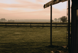 Landskab udenfor Ophemert, Gelderland, Holland med græsmark, hegn og bløde morgenfarver i horisonten.
