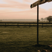 Paisaje campestre cerca de Ophemert, Gelderland, Países Bajos, con campos, valla y cielo al amanecer.