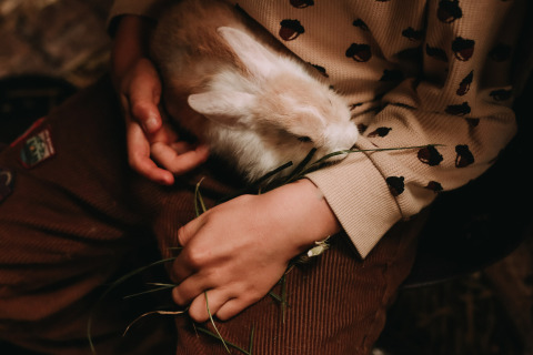 A child in brown clothes and a patterned shirt cuddles and feeds a white bunny with grass on their lap.