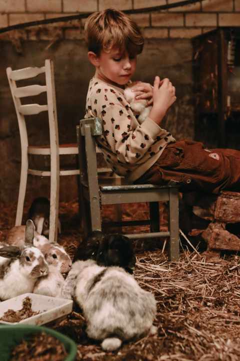 A boy sits on a chair holding a rabbit, surrounded by more rabbits on the straw-covered floor in a barn.