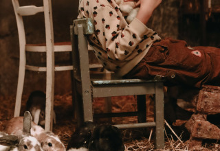 Jongen zit op een stoel met een konijn, omringd door andere konijnen op een bedje stro in een schuur.