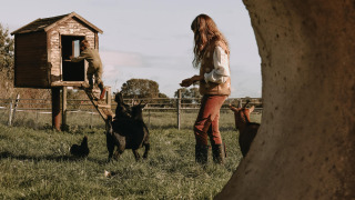 Zwei Personen mit Tieren auf einer Wiese bei einem Baumhaus nahe Ophemert, Gelderland, Niederlande.