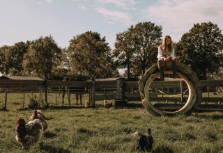 En pige sidder på et stort dæk i en indhegning med høns og heste på Feather Down Hoeve De Pippert i Holland.