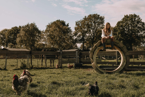 En pige sidder på et stort dæk i en indhegning med høns og heste på Feather Down Hoeve De Pippert i Holland.