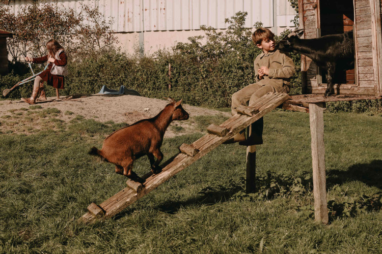 Children playing with goats on a farm, a boy sits by a hut and a girl plays with a wheelbarrow nearby.