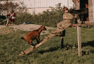 Kinderen spelen met geiten op een boerderij, een jongen zit bij een hut en een meisje speelt met kruiwagen.