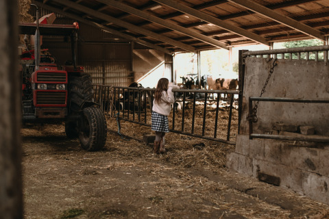 Niña en un establo con heno, tractor y vacas en Feather Down Hoeve De Pippert, Gelderland, Países Bajos.