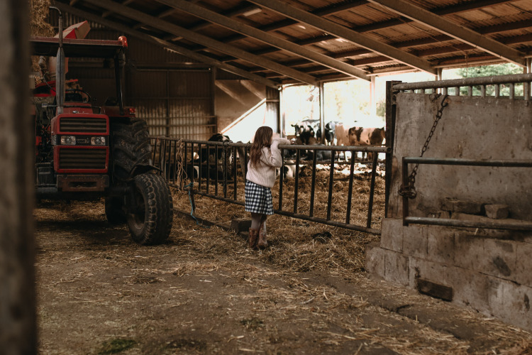 Ein Mädchen steht in einem Stall mit Stroh, Traktor und Kühen auf Feather Down Hoeve De Pippert, Gelderland.
