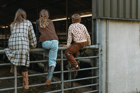 Drei Kinder sitzen auf einem Metallzaun bei Feather Down Hoeve De Pippert in Gelderland, Niederlande.