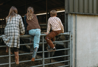 Drei Kinder sitzen auf einem Metallzaun bei Feather Down Hoeve De Pippert in Gelderland, Niederlande.