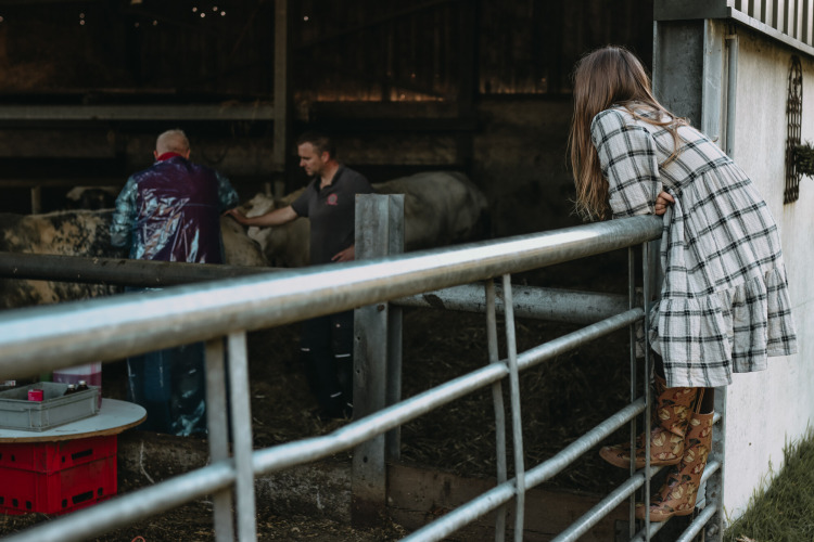 A child in patterned boots looks over a fence at two adults working with cows at Hoeve De Pippert, Gelderland.